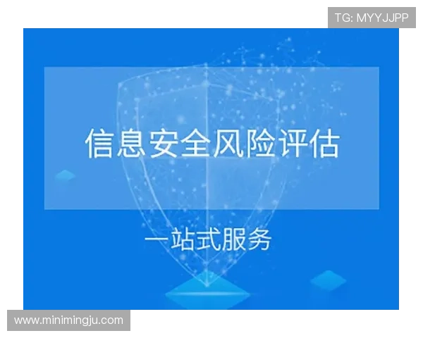 官方渠道下载vsport，避免第三方网站带来的安全隐患和软件风险